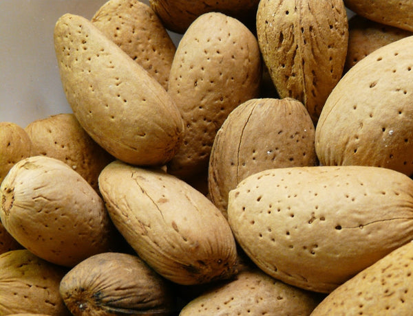 Kashmiri Almonds - Kagzi Badam with Shell - KatraBAZAAR