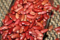 Pahadi Rajma - Red Kidney Beans - KatraBAZAAR